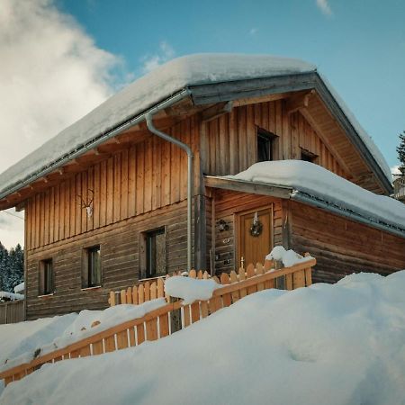 Chalet In Annaberg-Lungotz With Terraceヴィラ エクステリア 写真